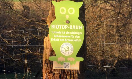 Habitatbäume schützen - Artenvielfalt erhalten